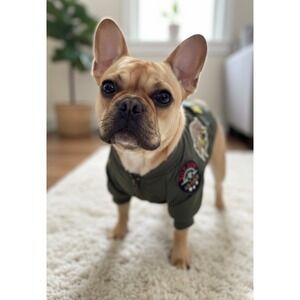 Top Gun Military Flight Bomber Dog Jacket Olive Green Medium Air Force Patches